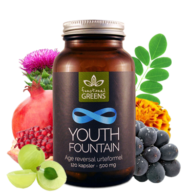 Youth Fountain