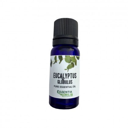 Eukalyptus - Økologisk Eterisk olje - Essentia Nobilis - 10 ml