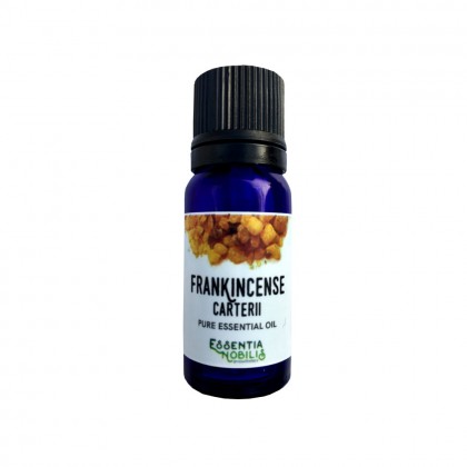 Frankincense - Økologisk Eterisk olje - Essentia Nobilis - 10 ml