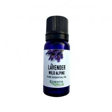 Lavendel (Wild Alpine) - Økologisk Eterisk olje - Essentia Nobilis - 10 ml