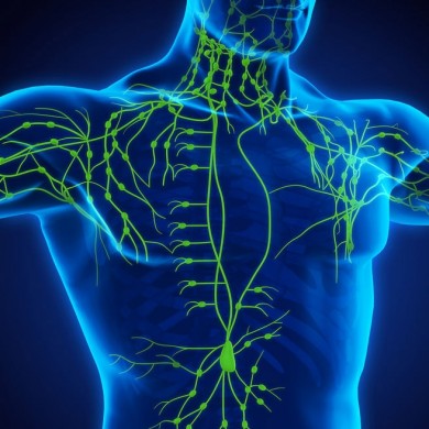 Detox av lymfesystemet - Pakke