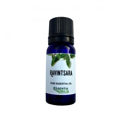 Ravintsara - Økologisk Eterisk olje - Essentia Nobilis - 10 ml