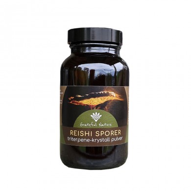 Reishi sporer - Triterpene krystall pulver - 120g