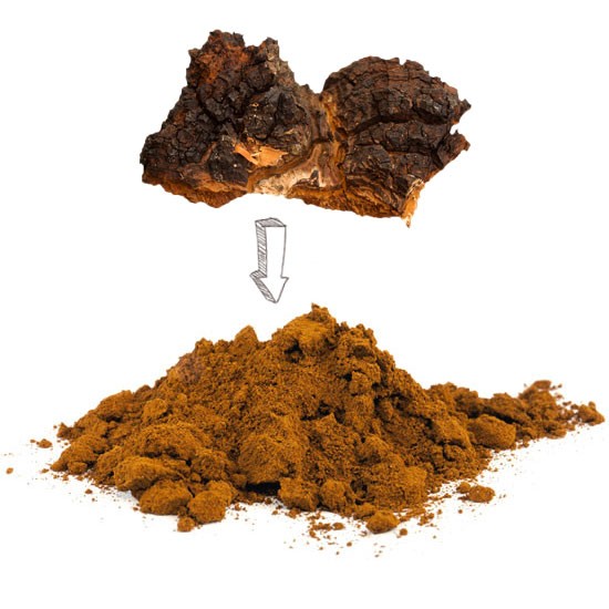 Chaga - Pulver - 250 g