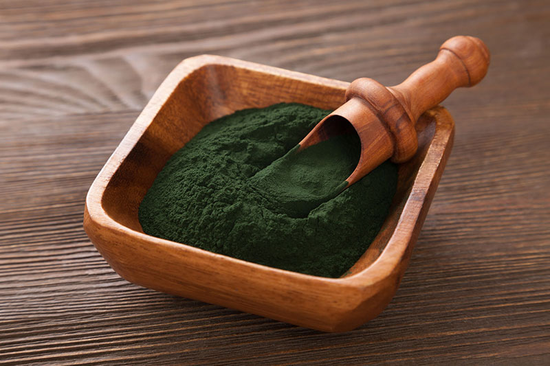 Chlorella