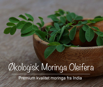 Moringa Oliefera