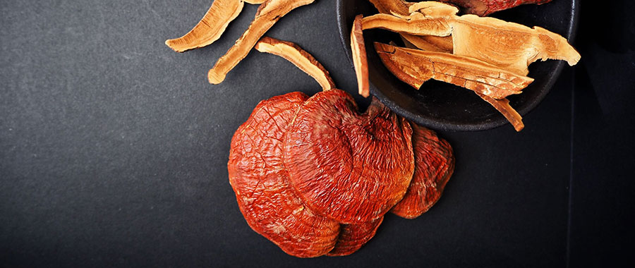 Reishi