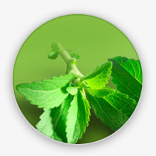 Stevia