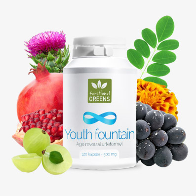 Youth Fountain